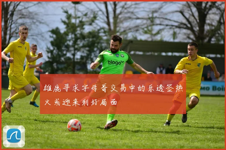 雄鹿寻求字母哥交易中的乐透签热火或迎来利好局面